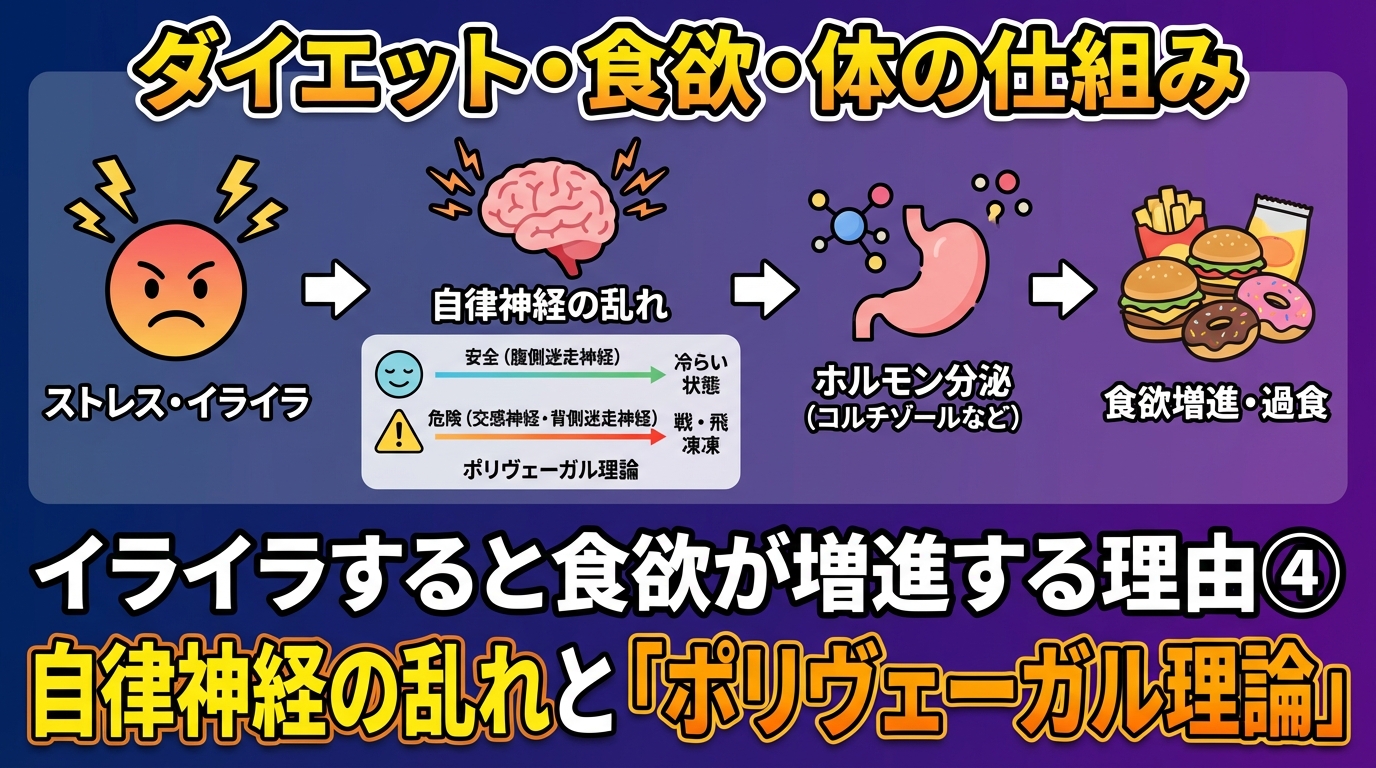 イライラ-食欲-増進-理由-diagram-4.png